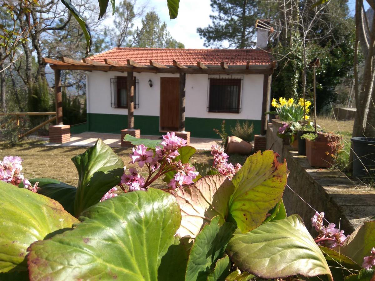 Apartamento Casa Balbina Arroyo Frío Exterior foto